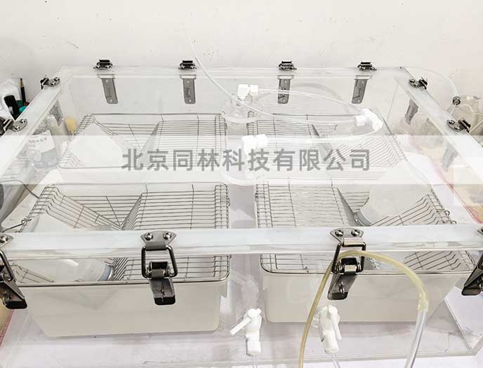 實驗室臭氧暴露染毒實驗?zāi)M方法指南