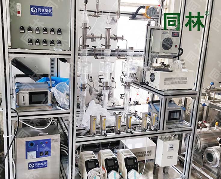 同林多級(jí)臭氧催化氧化實(shí)驗(yàn)裝置