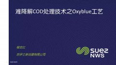蘇伊士:難降解COD去除技術之Oxyblue臭氧生物濾池工藝(ppt)